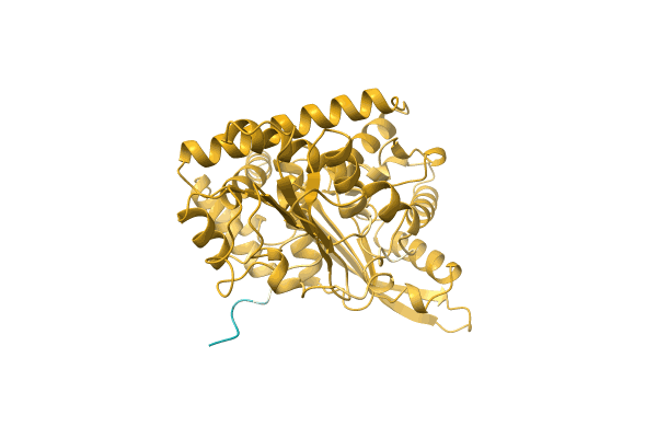 AF-A0A1C7E5R7-F1 image