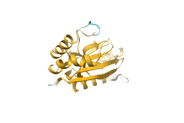 AF-A0A1C7E7Y0-F1 image