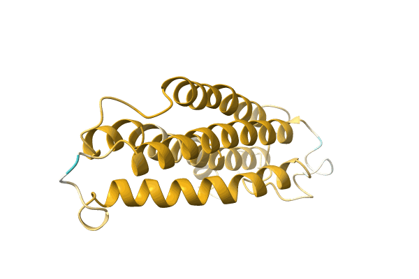 AF-A0A1C9DMY7-F1 image