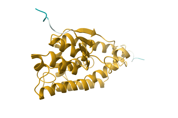 AF-A0A1C9EGF0-F1 image