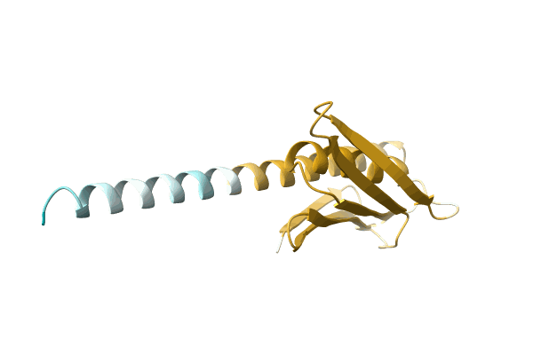 AF-A0A1D2WIP6-F1 image