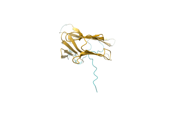 AF-A0A1D2WJ41-F1 image