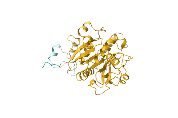 AF-A0A1D3PDD4-F1 image