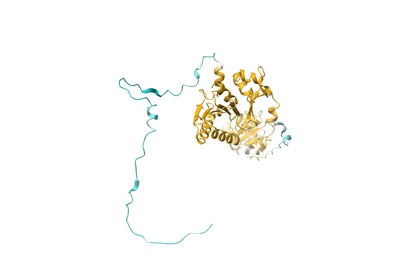AF-A0A1D8UYG8-F1 image