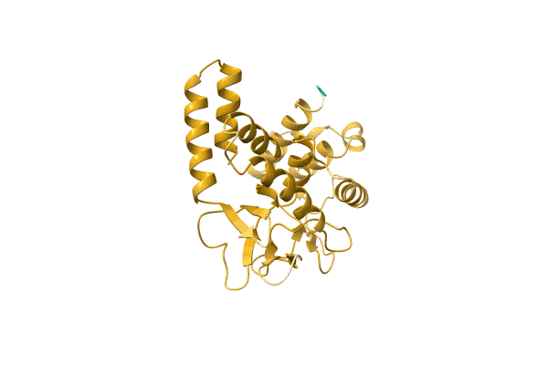 AF-A0A1D8UYI1-F1 image