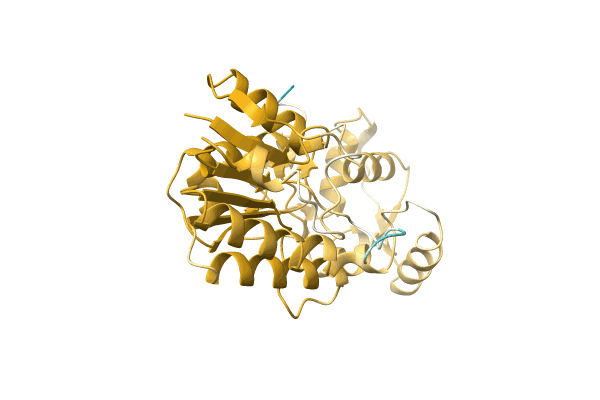 AF-A0A1D9LBP1-F1 image