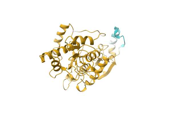 AF-A0A1E3VRH7-F1 image