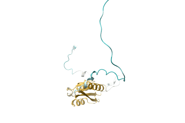 AF-A0A1E3VVV6-F1 image
