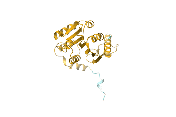 AF-A0A1E5GQ90-F1 image