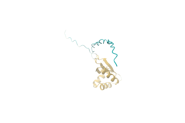 AF-A0A1E5KG14-F1 image