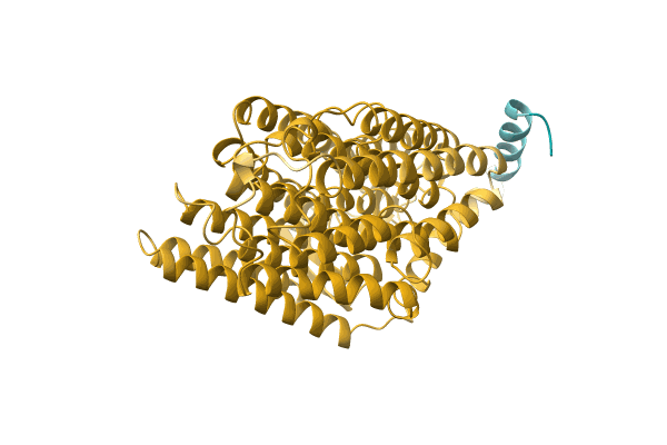 AF-A0A1F2WZL3-F1 image