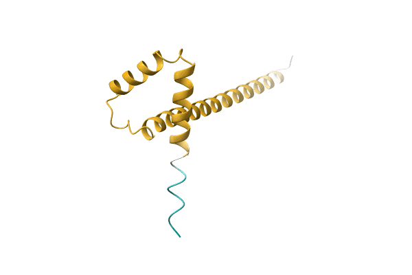 AF-A0A1F2XGB4-F1 image