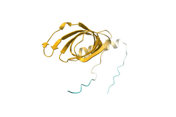 AF-A0A1F8UCQ0-F1 image