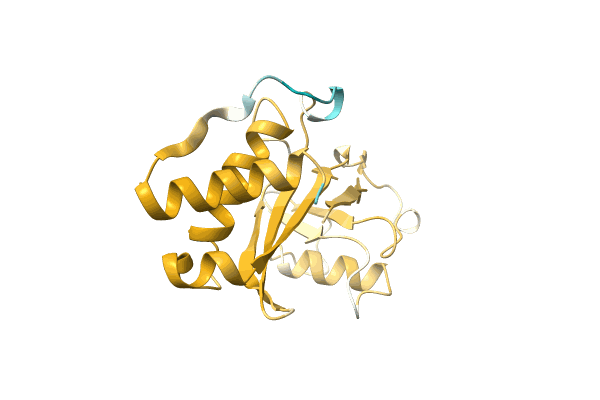 AF-A0A1G1G6Q6-F1 image