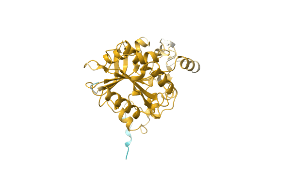AF-A0A1G3K2M8-F1 image