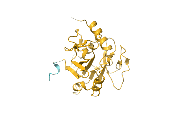 AF-A0A1G3L2R2-F1 image