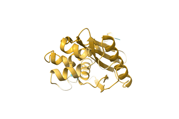 AF-A0A1G4Y6L3-F1 image