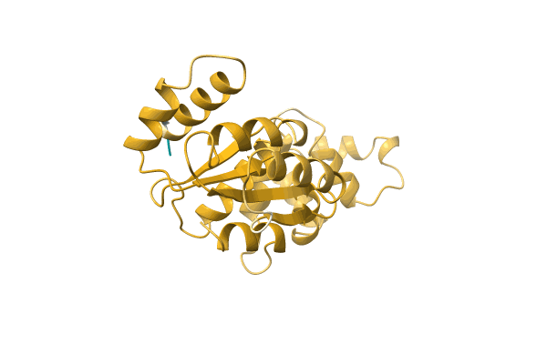AF-A0A1G5DPQ7-F1 image