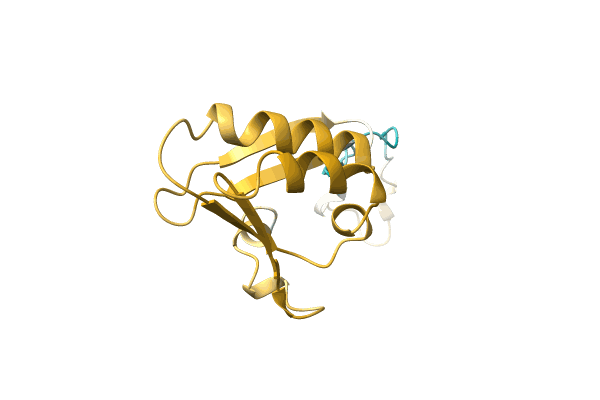 AF-A0A1G8DLQ8-F1 image