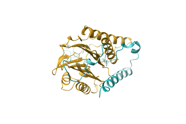 AF-A0A1G8IM51-F1 image
