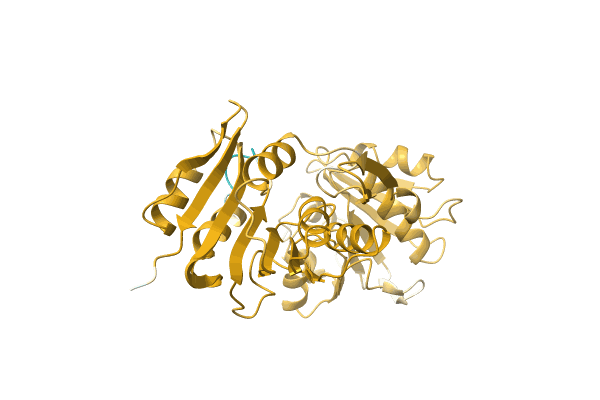 AF-A0A1G8IMS9-F1 image