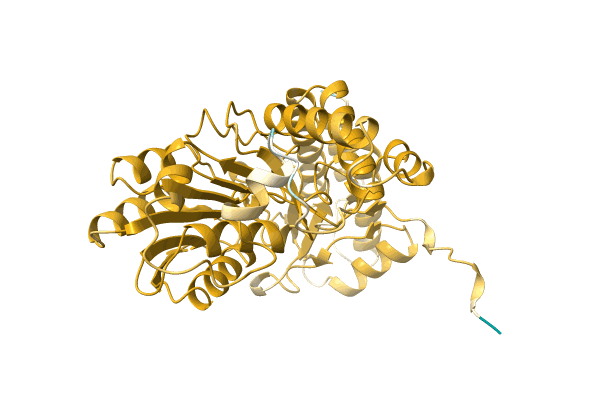 AF-A0A1G8IN90-F1 image