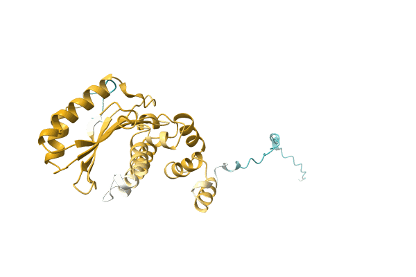 AF-A0A1G9BT63-F1 image