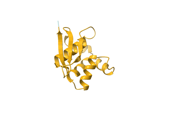 AF-A0A1G9D1W3-F1 image