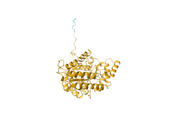 AF-A0A1G9JPV9-F1 image