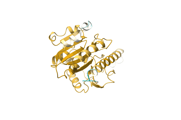 AF-A0A1G9JS65-F1 image