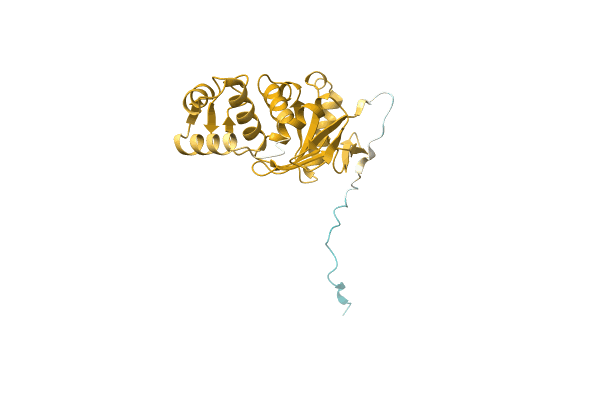 AF-A0A1G9LNU7-F1 image