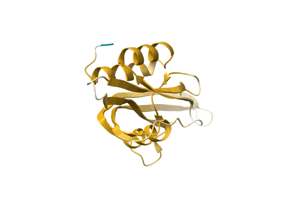 AF-A0A1H1ZR94-F1 image
