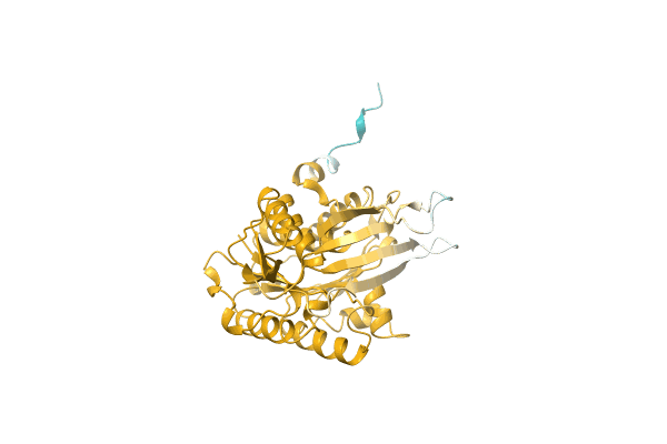 AF-A0A1H6X5G7-F1 image