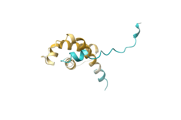 AF-A0A1H6XF33-F1 image