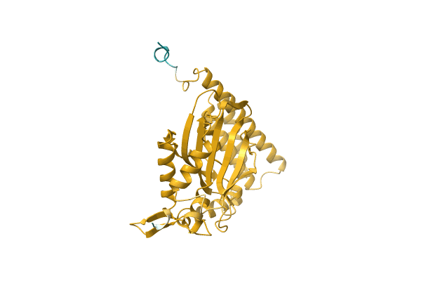 AF-A0A1H6XFS3-F1 image