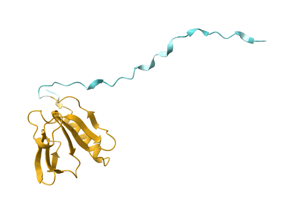AF-A0A1H9CV52-F1 image