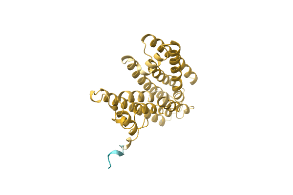 AF-A0A1I4DII6-F1 image