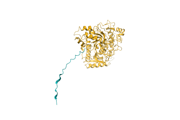 AF-A0A1I4DMF8-F1 image