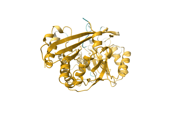 AF-A0A1I6U7I7-F1 image