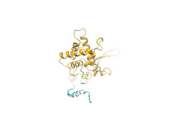 AF-A0A1I9WLV7-F1 image