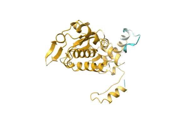 AF-A0A1I9WN49-F1 image