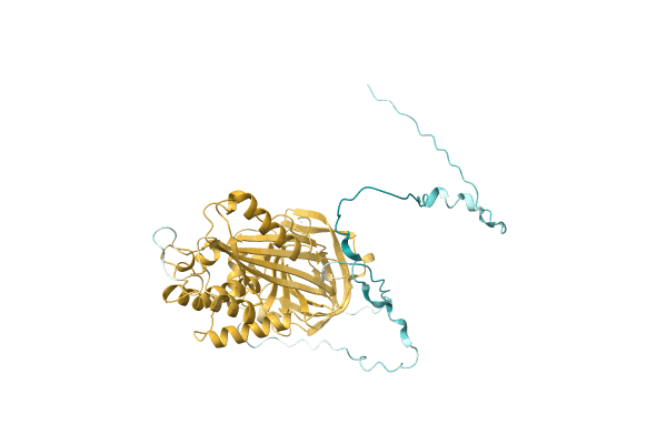 AF-A0A1L5J2I3-F1 image