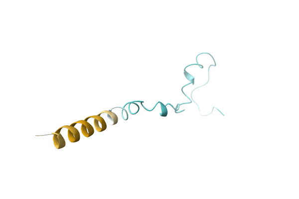 AF-A0A1P8NVS2-F1 image