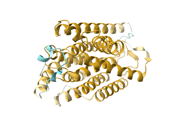 AF-A0A1Q5EPT6-F1 image