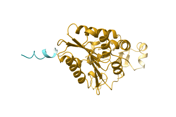 AF-A0A1Q5EPV8-F1 image