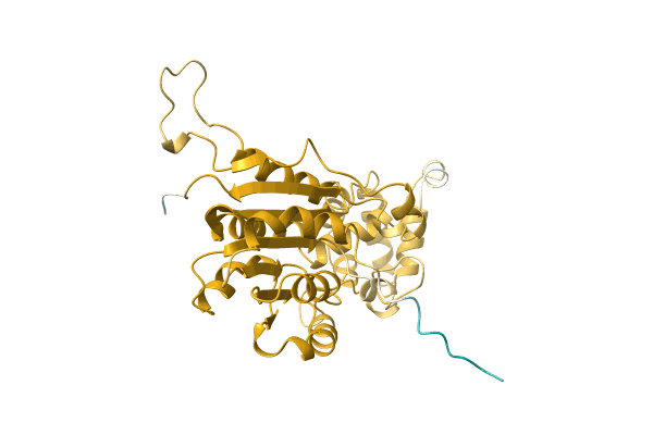AF-A0A1Q5EPW1-F1 image