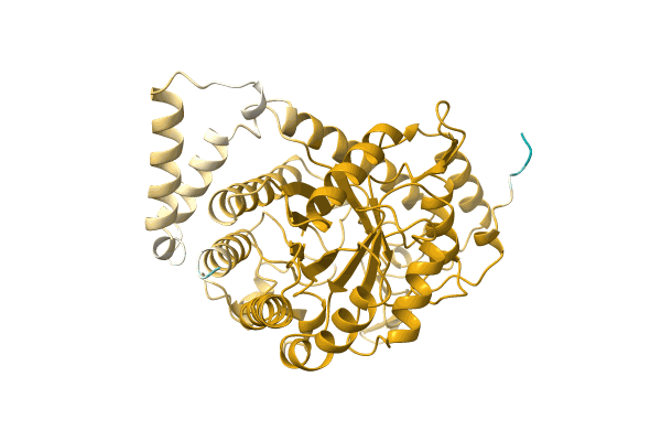AF-A0A1Q5EPX5-F1 image