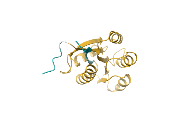 AF-A0A1Q5EQ01-F1 image