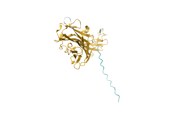 AF-A0A1Q5VCE4-F1 image