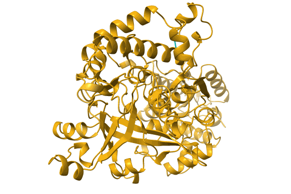 AF-A0A1Q6EF44-F1 image